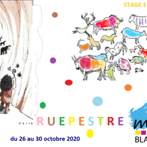 Stage RUEpestre MJC des Arts de Blagnac