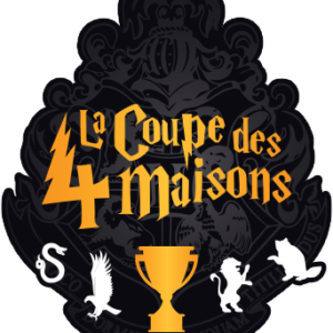 stage-coupe-des-4-maisons-MJC-Blagnac