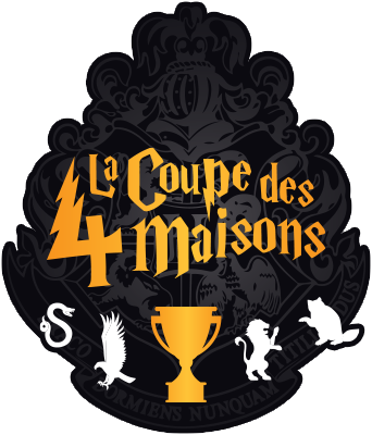 stage-coupe-des-4-maisons-MJC-Blagnac