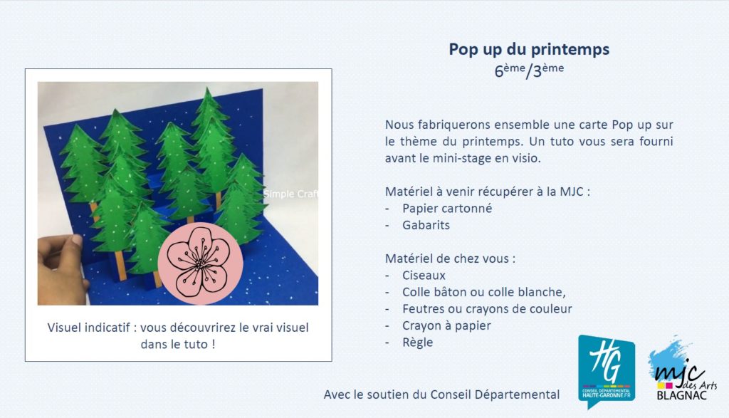 Mini-stage-numerique-en-visio-MJC-arts-Blagnac