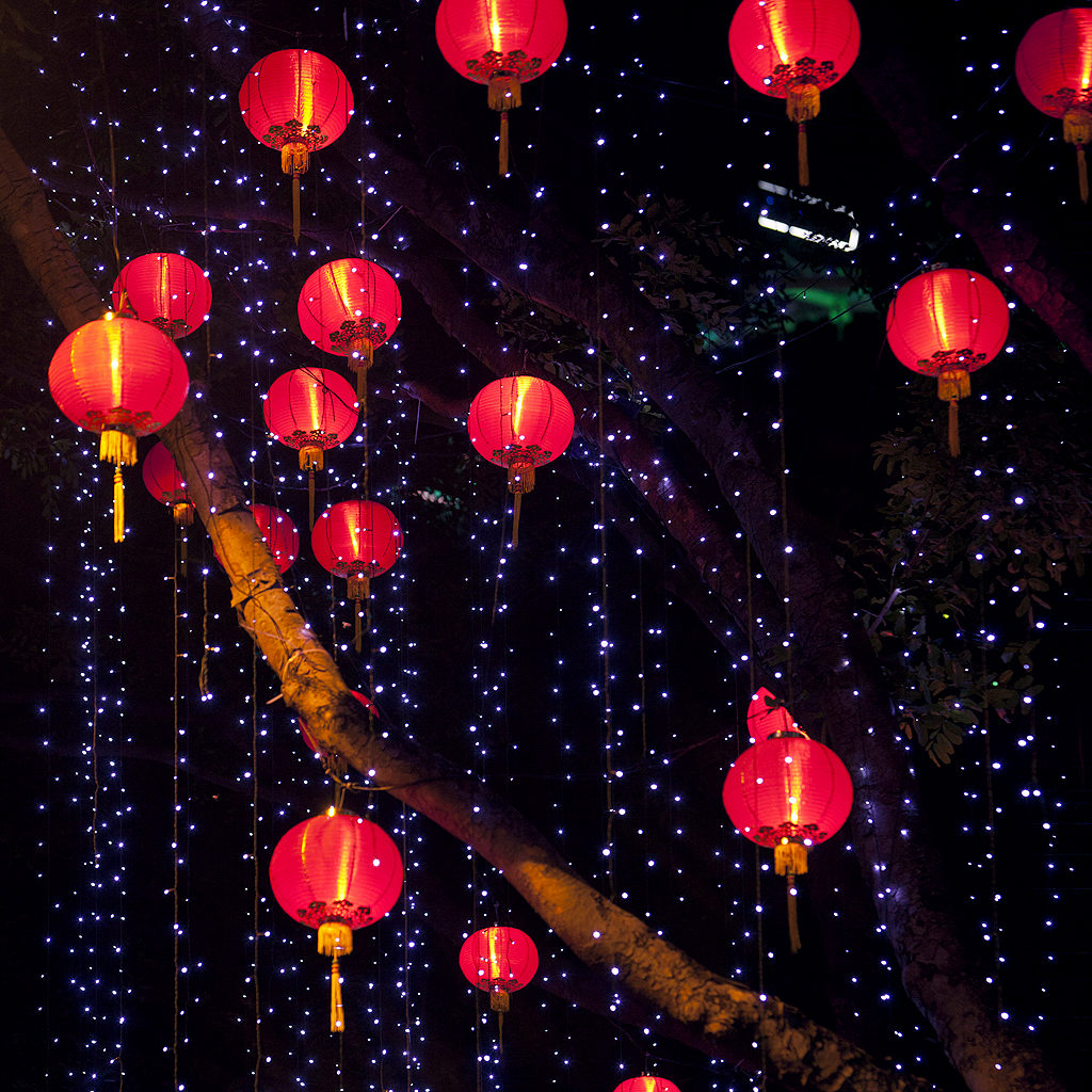 stage lanternes et cie