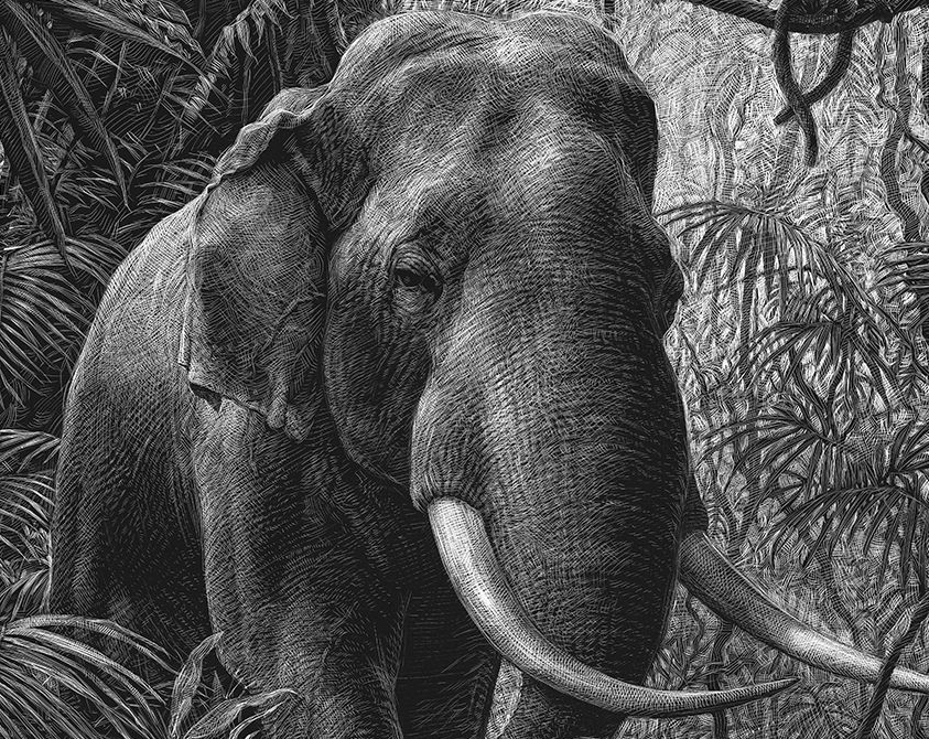 Stage-gravure-eau-forte-au-trait-MJC-des-arts-de-Blagnac