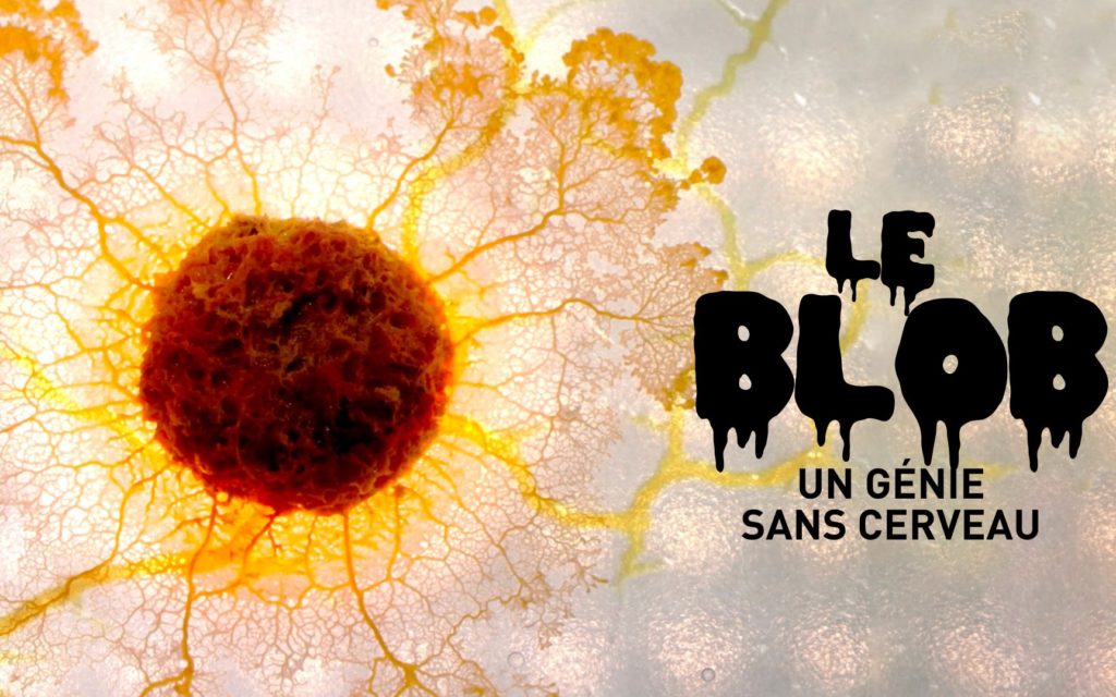 Stage-sciences-le-mystere-du-blob-MJC-des-arts-de-Blagnac