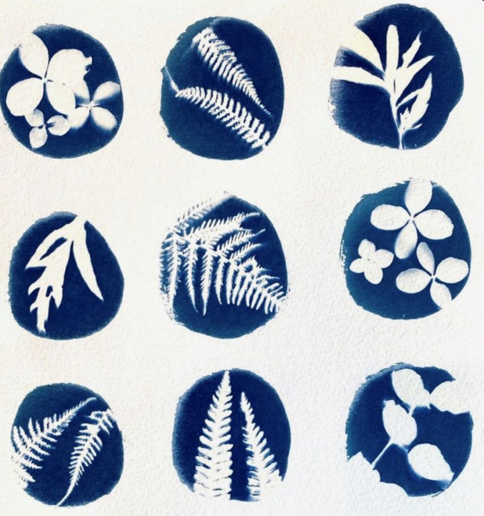 Stage-terre-le-monde-en-bleu-MJC-des-arts-de-Blagnac