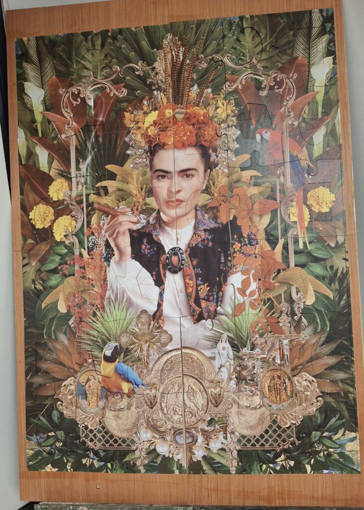 Assemblée générale de la MJC des Arts de Blagnac, Salle des Caouecs, Blagnac, 23 janvier 2026