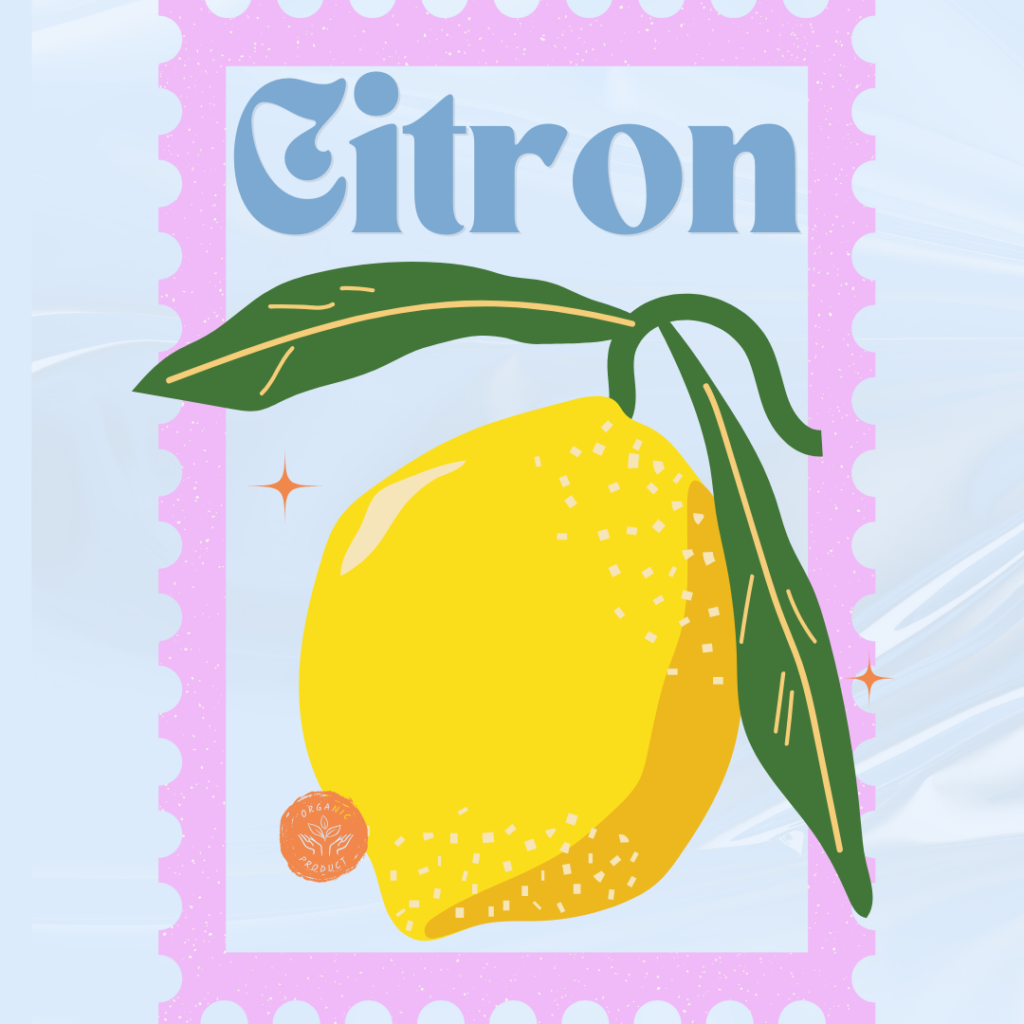 Recette Cake au Citron et Pavot de Natalia