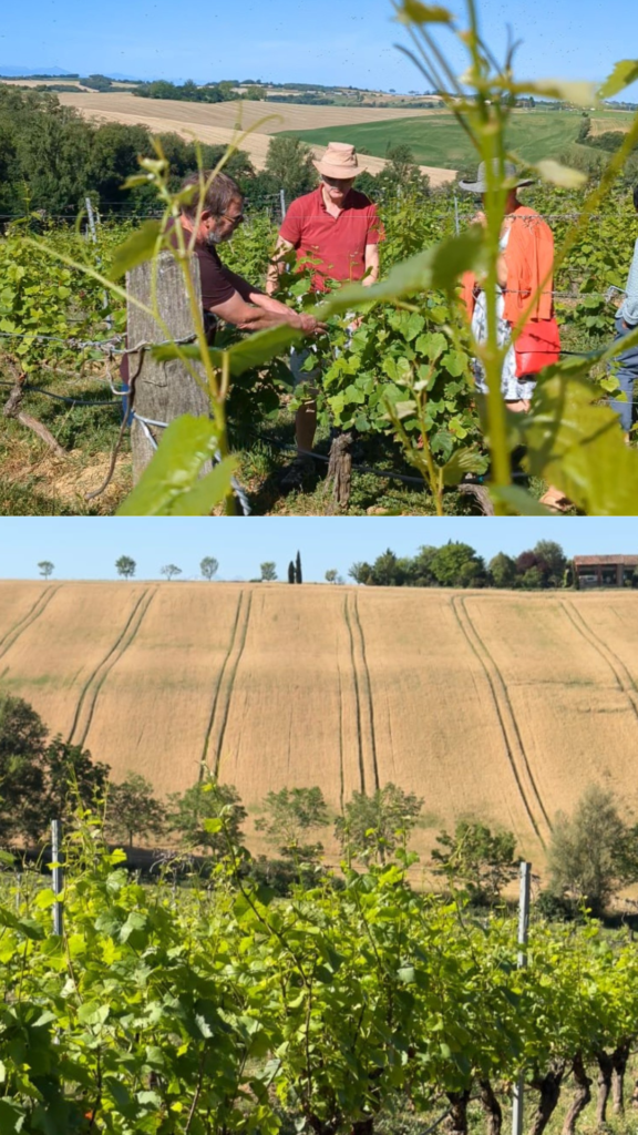 Sortie Oenologie du 13 06 2026