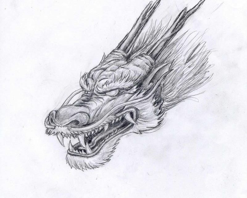 visuel dragon- 1