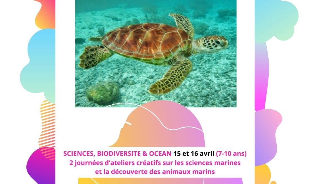 Stages Vacances de Printemps - Sciences, Biodiversité et Océan (Instagram)