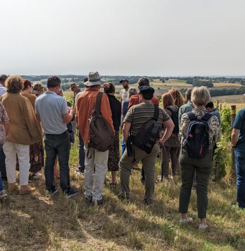 Sortie œnologie MJC des Arts de Blagnac