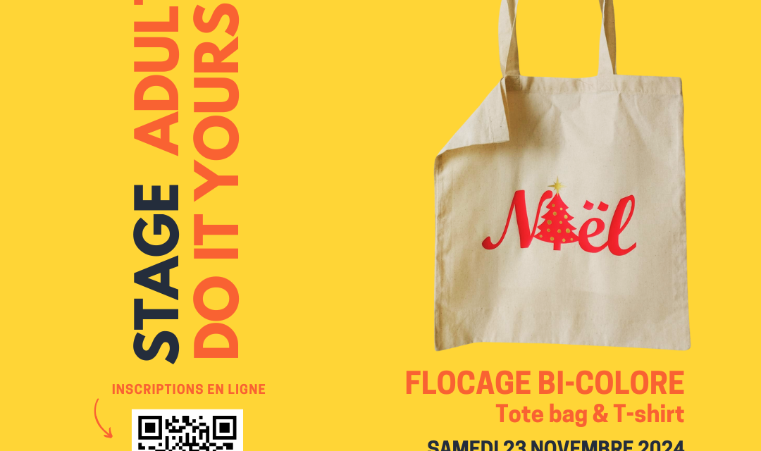 STAGE FABLAB DIY #7 - Flocage Bicolore (Publication Instagram)