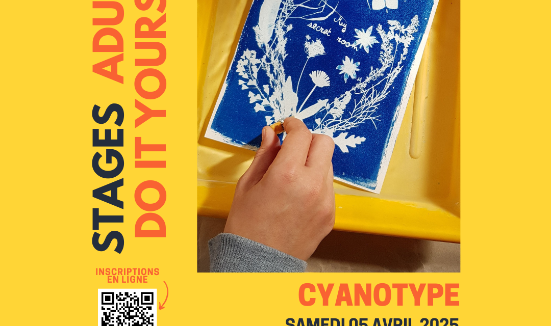 Stage Fablab DIY - Cyanotype (Publication Instagram)