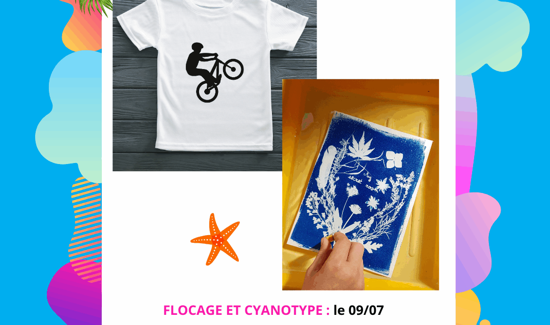 Stage Flocage et Cyanotype 2