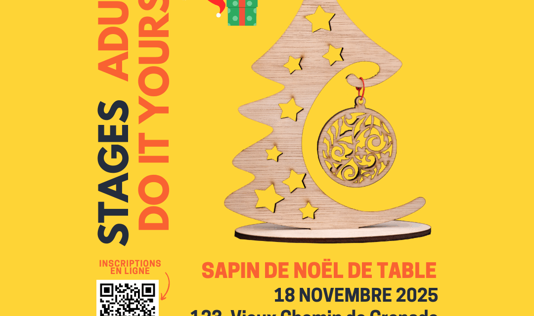 Stage Fablab DIY - Fabrique Ton Sapin de Table en Bois (Publication Instagram)
