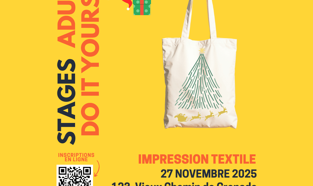 Stage Fablab DIY - Impression Textile Personnalisée 1 (Publication Instagram)