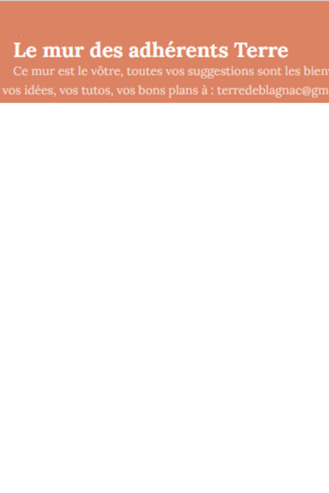 Visuel padlet terre